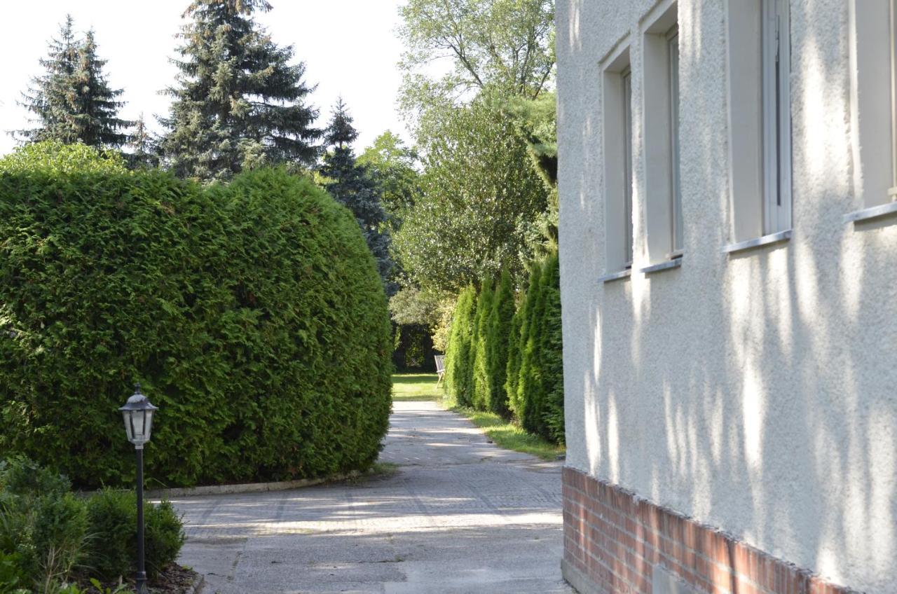 Villa Weissensee ポツダム エクステリア 写真