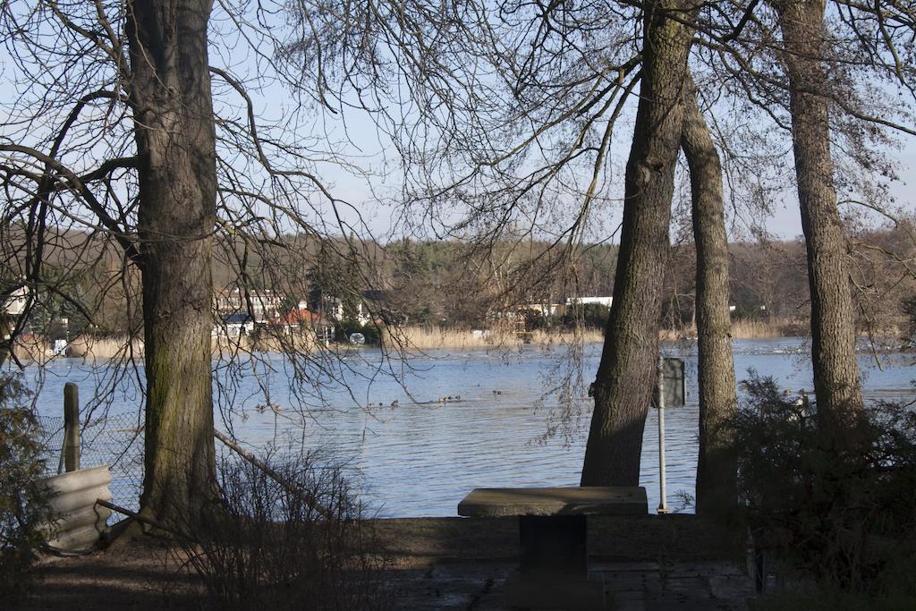 Villa Weissensee ポツダム エクステリア 写真
